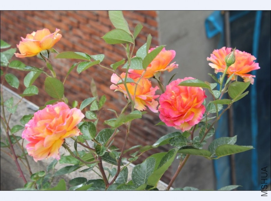 QQͼƬ20140521140635.jpg