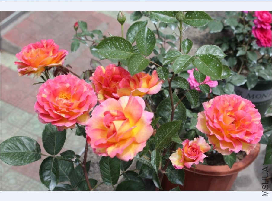 QQͼƬ20140521140550.jpg