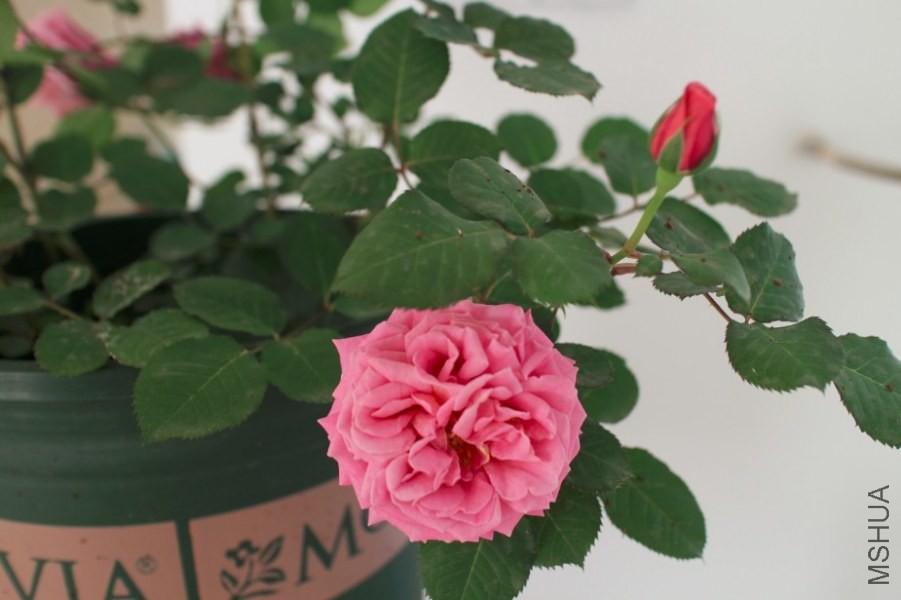 QQ��ͼ20140521144414.jpg
