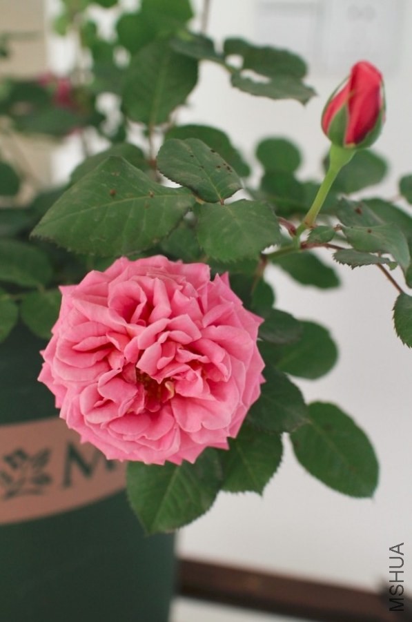 QQ��ͼ20140521144435.jpg