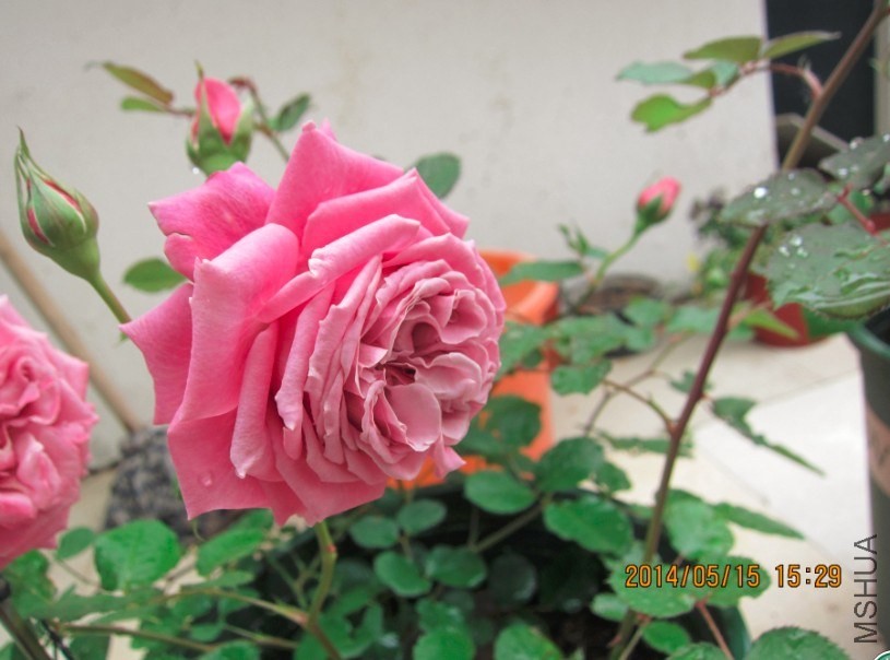 QQ��ͼ20140521144222.jpg