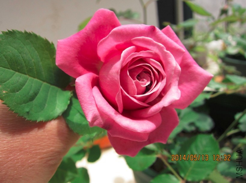 QQ��ͼ20140521144302.jpg