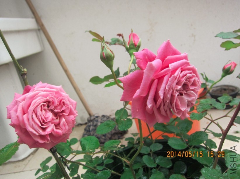 QQ��ͼ20140521144335.jpg