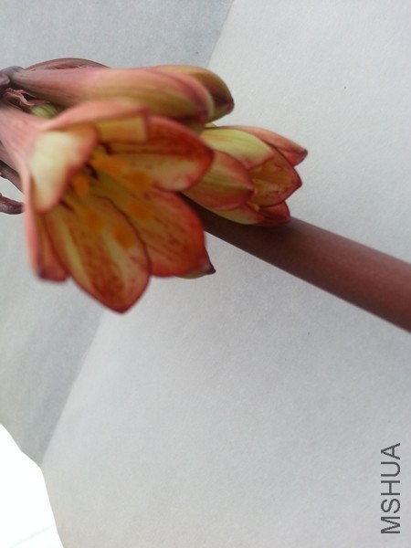 20140518_175207.jpg