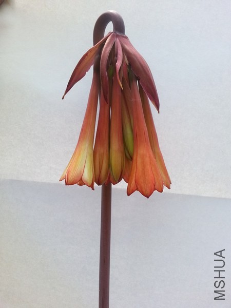 20140521_100642_����.jpg
