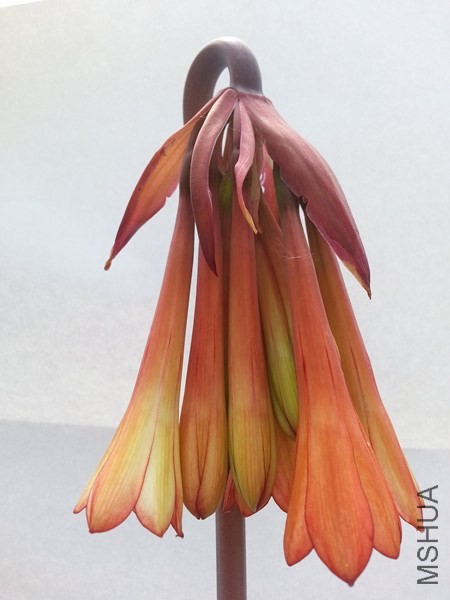 20140521_100702_����.jpg