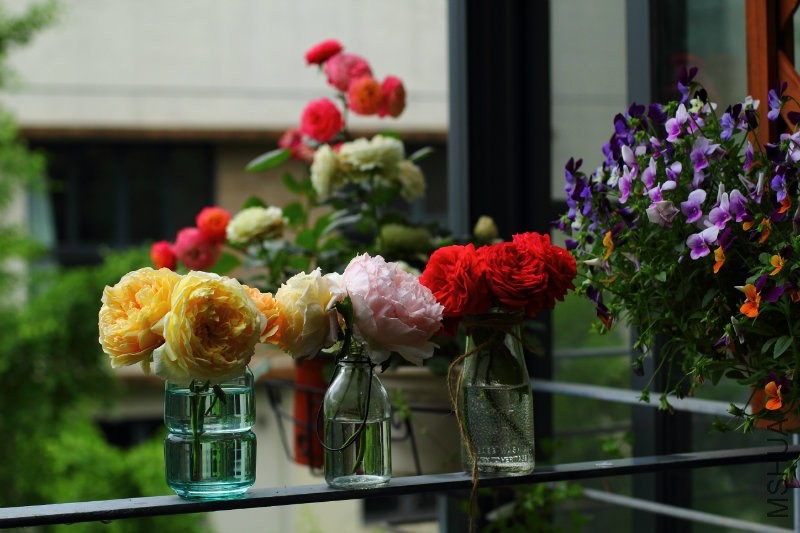 201139a8g7g8kpg6pppi8z.jpg