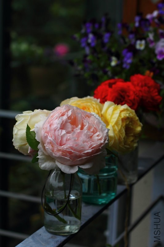 201213x8o6ovxt3f5q8595.jpg