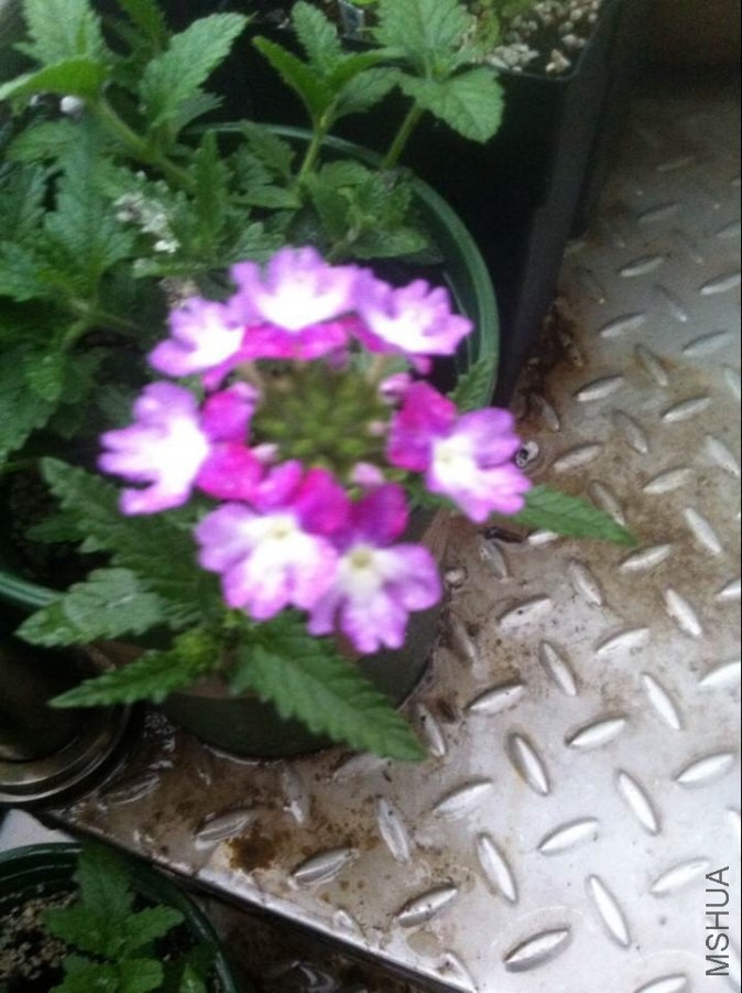 QQͼƬ20140521203742.jpg