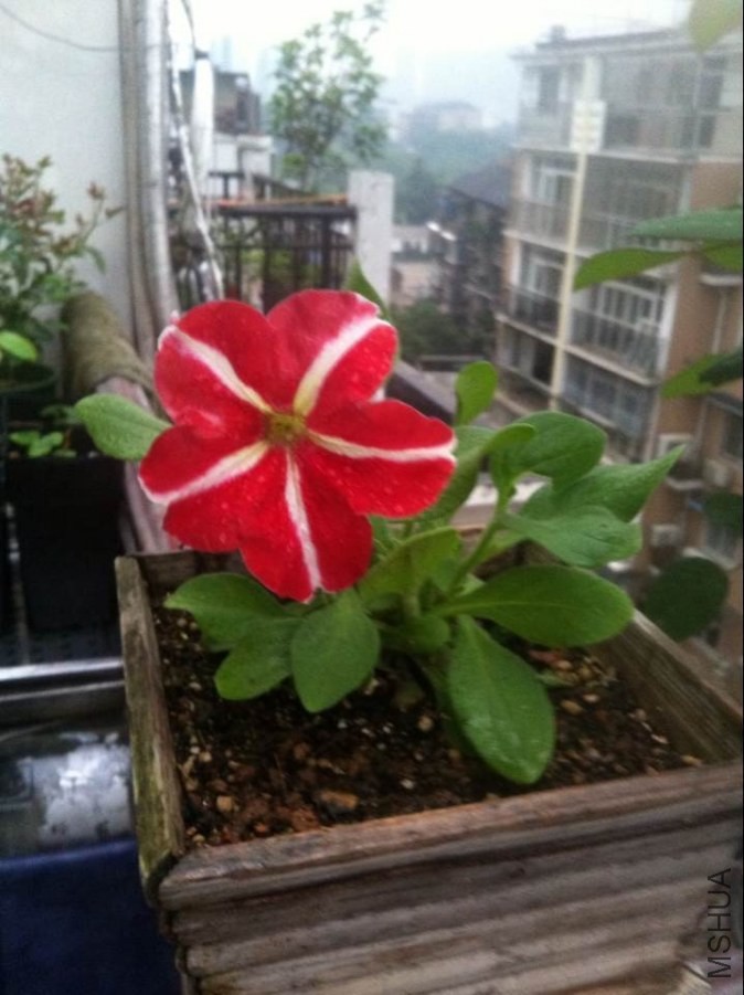 QQͼƬ20140521203838.jpg
