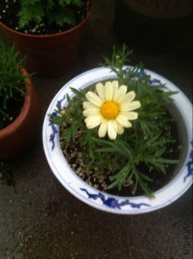 QQͼƬ20140521203858.jpg
