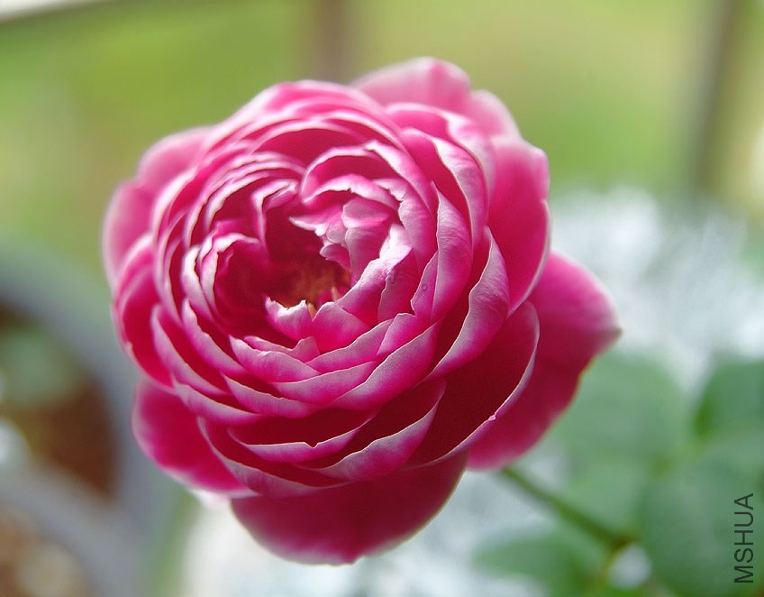 DSCF00071.jpg