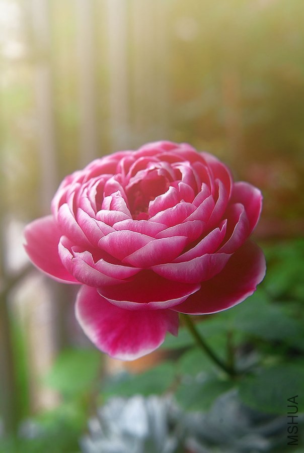 DSCF00381.jpg