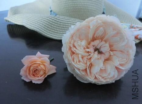 QQ��ͼ20140522091529.jpg