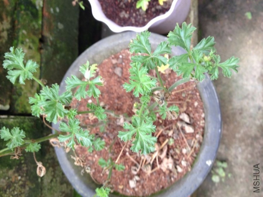 QQͼƬ20140522092521.jpg