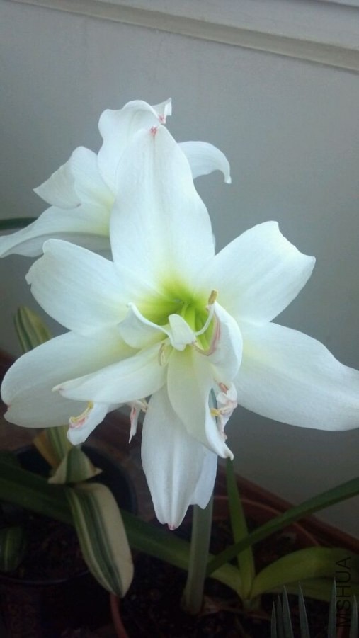 QQͼƬ20140522090002.jpg