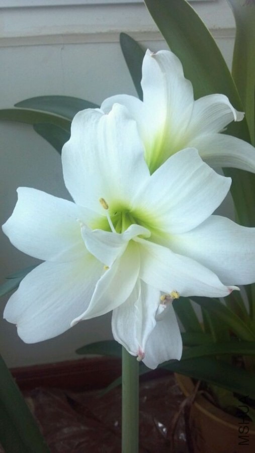 QQͼƬ20140522090031.jpg