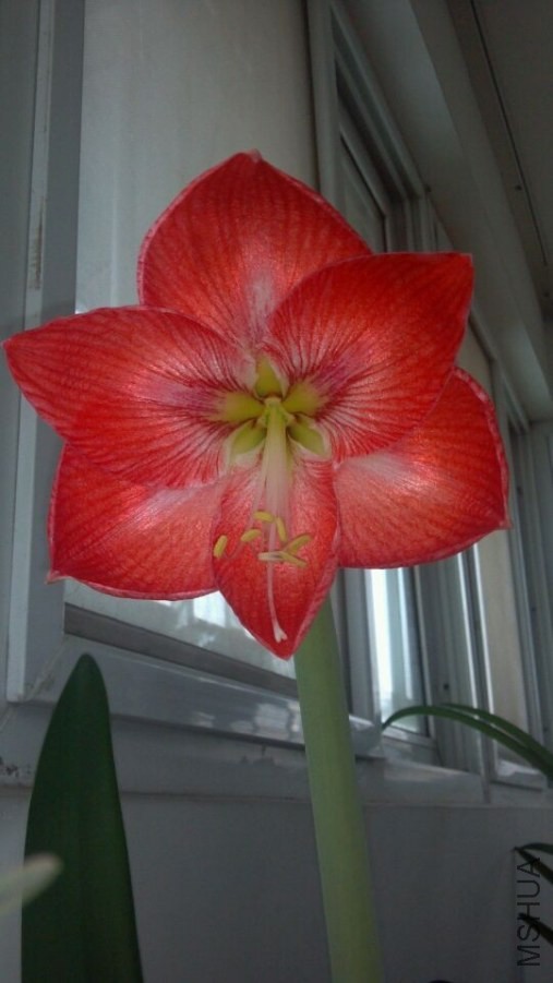 QQͼƬ20140514093709.jpg