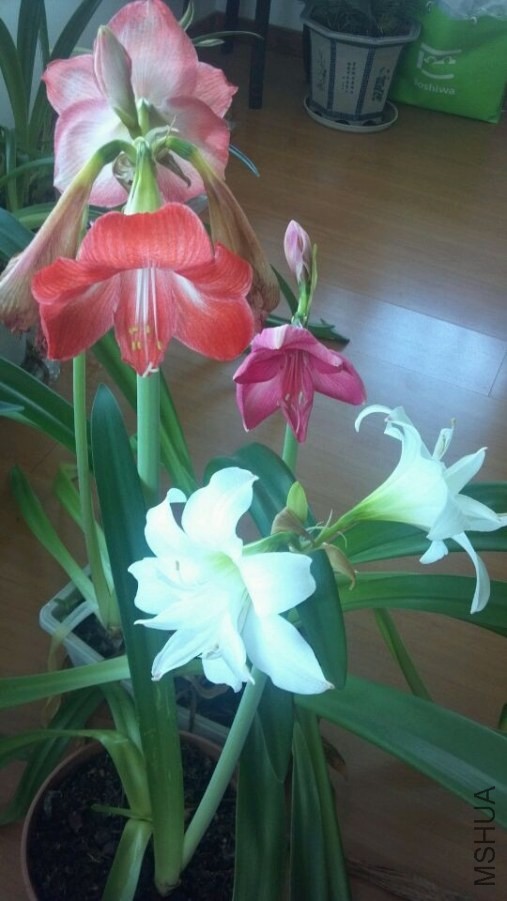 QQͼƬ20140522090023.jpg