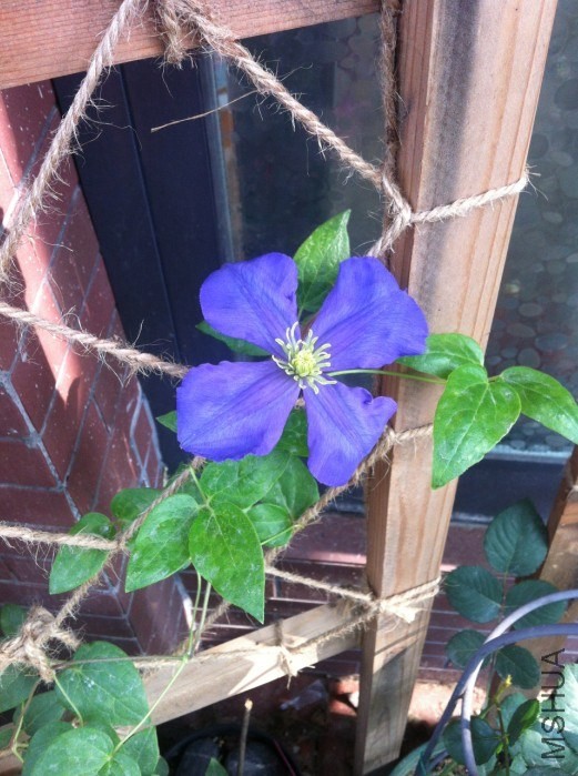 QQͼƬ20140522120958.jpg