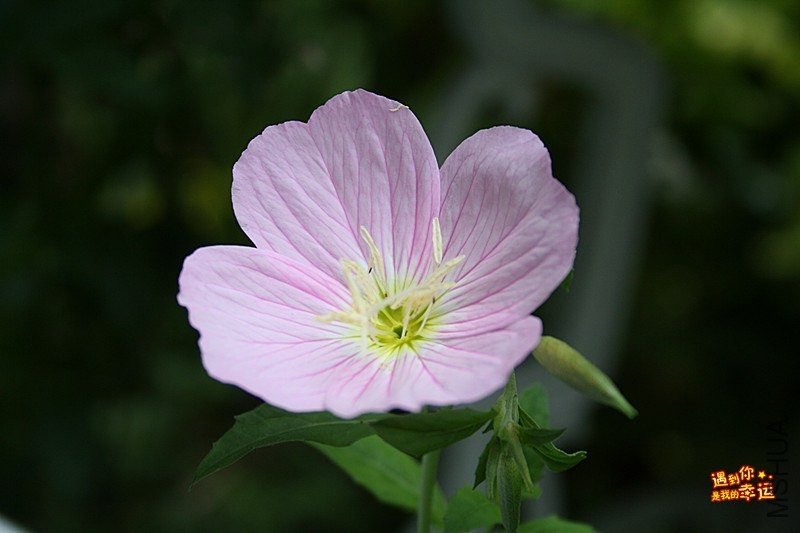 IMG_8190_���� .jpg