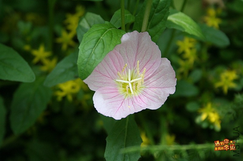 IMG_8191_���� .jpg