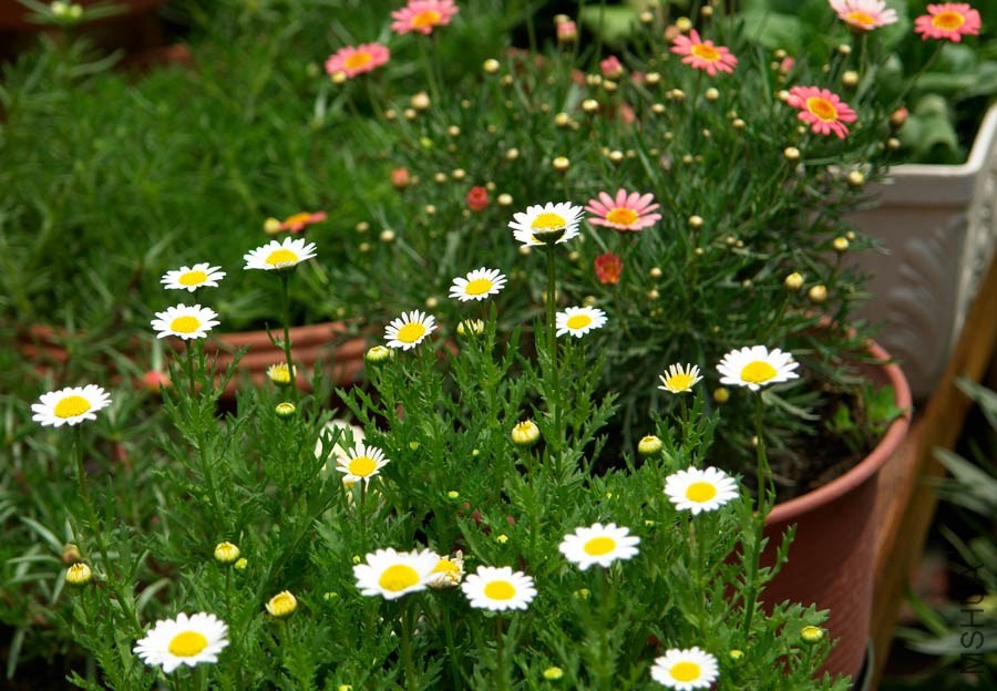 �׾��պͺ���