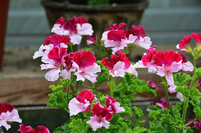 ���п����� (7).jpg