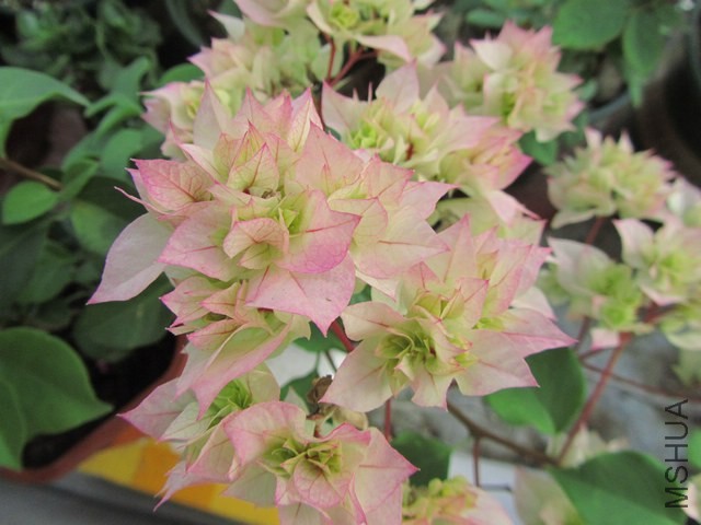 ������20120715 021.jpg