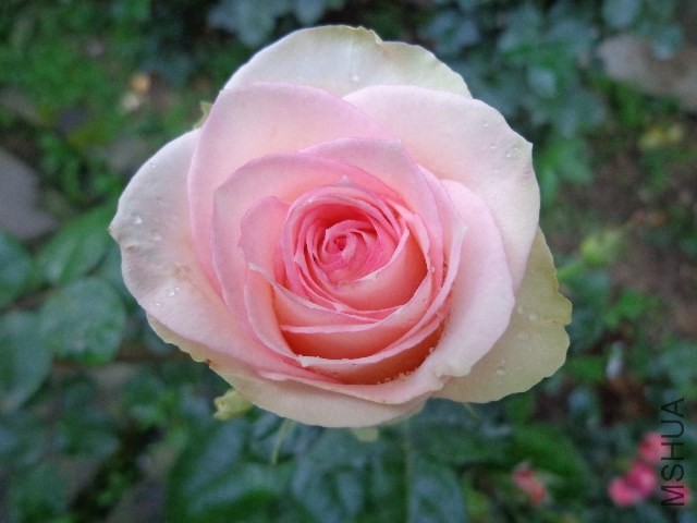 DSC02275.JPG