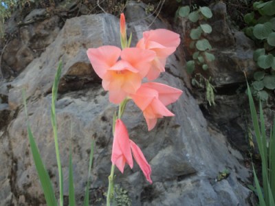 ����Ůɽ�����ʱ�򿴼���