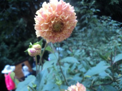 ���Ӧ���Ǵ����������¹�����ͦ�ÿ���