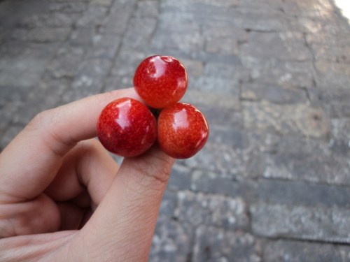 �ú��ӣ�ң��������