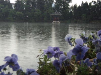 ���еĺ���̶��԰