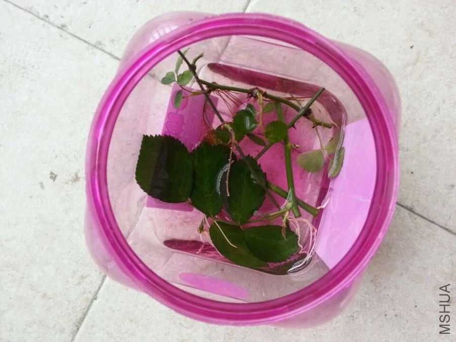QQͼƬ20140524174327.jpg