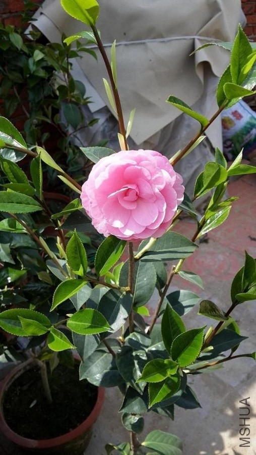 20140429_140520.jpg