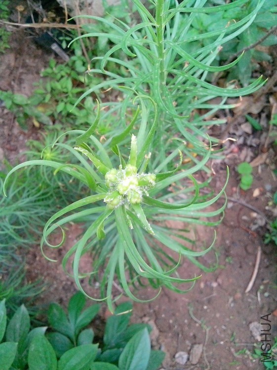 QQͼƬ20140524204722.jpg
