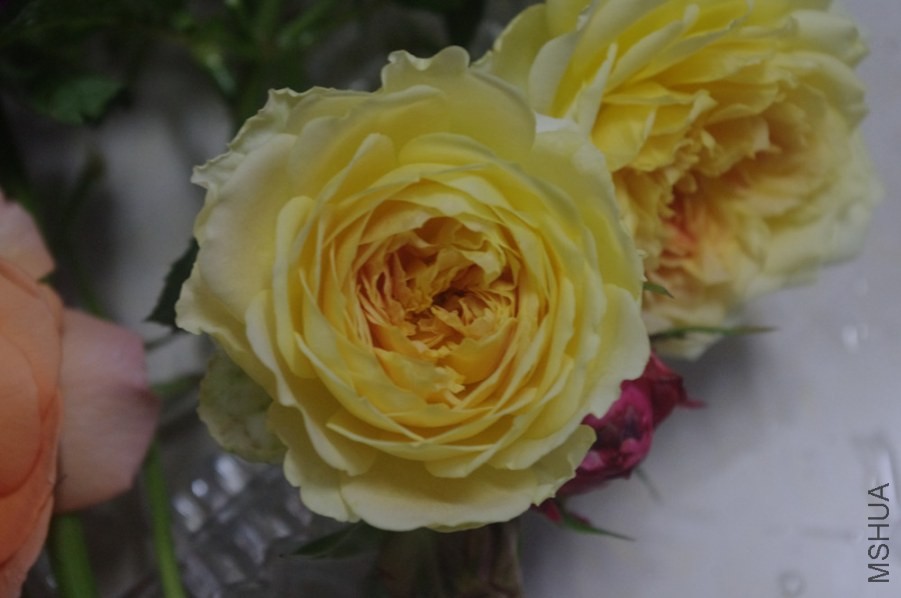 ��ʱ��ĸ������������������Ҳ��Ư������������