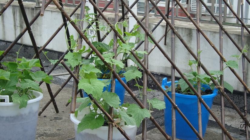 7_23 AM dsc04518 dsc045181.jpg