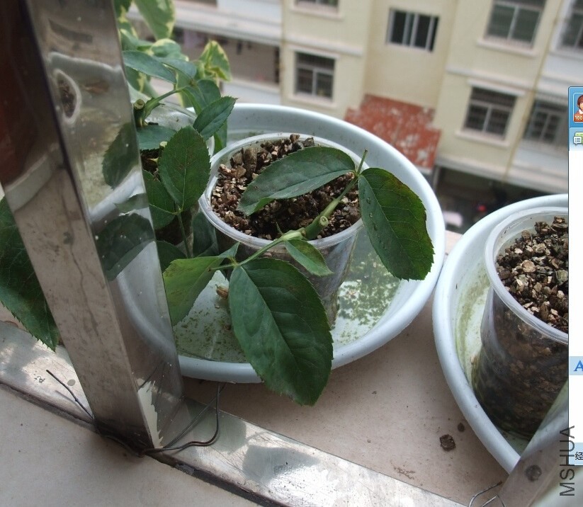 QQ��ͼ20140525155027.jpg