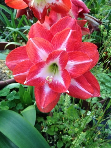 ��Ƭ 496_�{����С.jpg