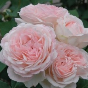 QQ��ͼ20140526065523.jpg