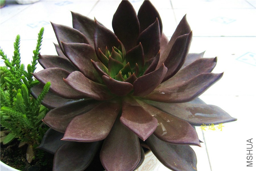 S73F5643.jpg