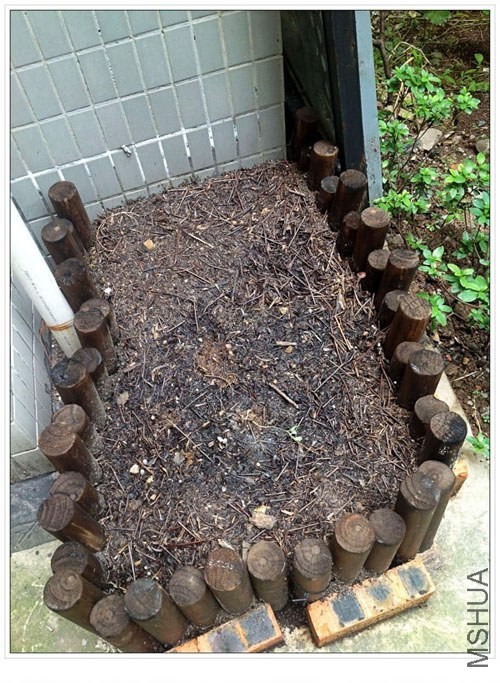 conew_��ת img_0067.jpg