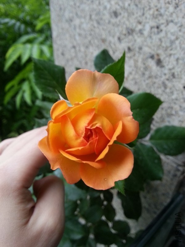 20140525_101356.jpg