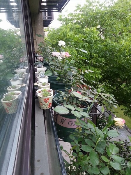 20140525_101440.jpg