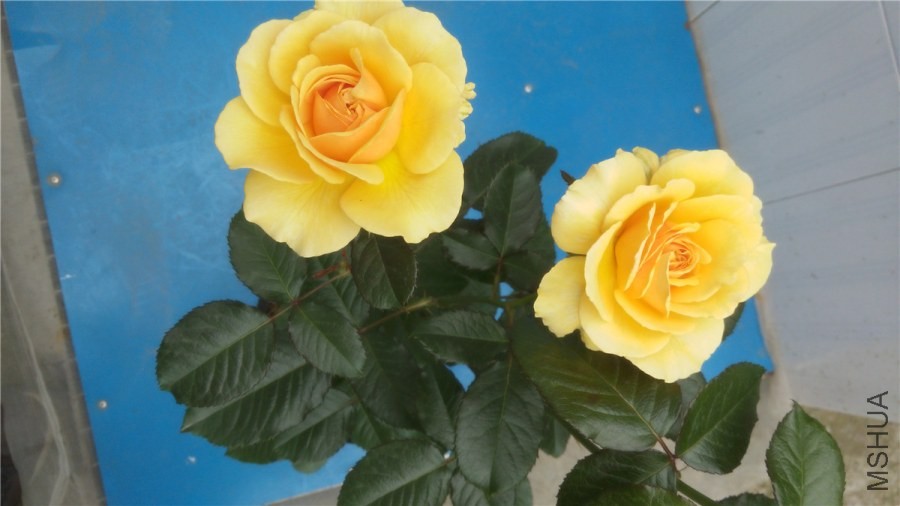 20140518130807.jpg