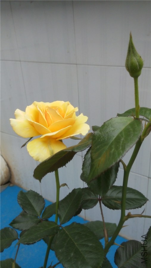 20140518130844.jpg