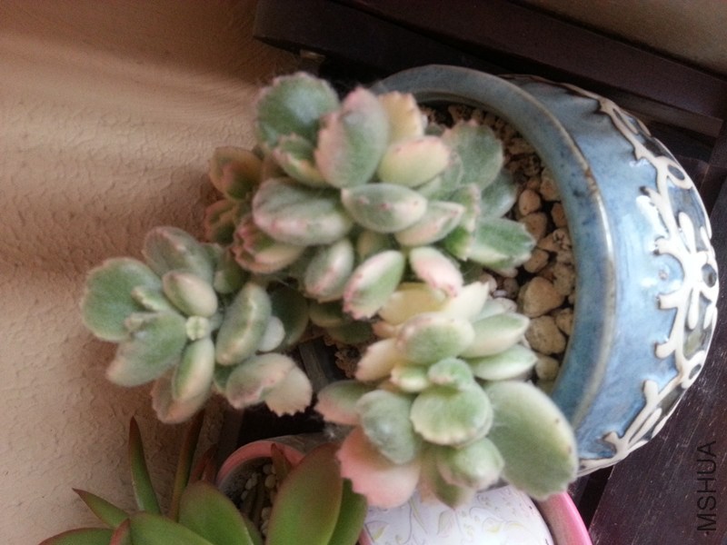20140520_170412_����.jpg