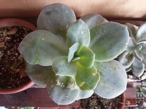 20140520_170444_����.jpg